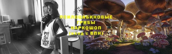 соль курить ск Пролетарск