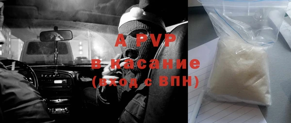 индика Ленинск
