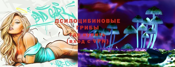 2c-b Ленинск-Кузнецкий