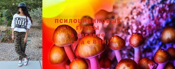 соль курить ск Пролетарск
