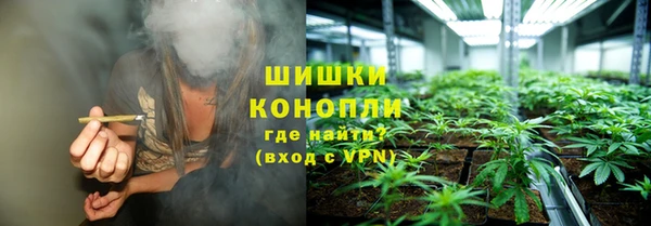 стафф Ленск