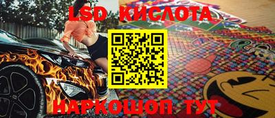 спиды Кандалакша