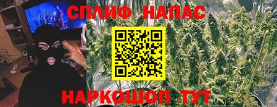 mdpv Камышлов