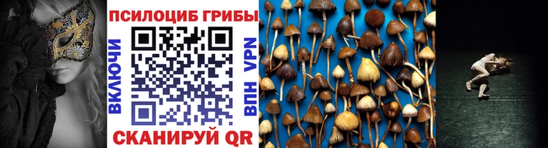 mega ССЫЛКА  Сердобск  Галлюциногенные грибы Cubensis 