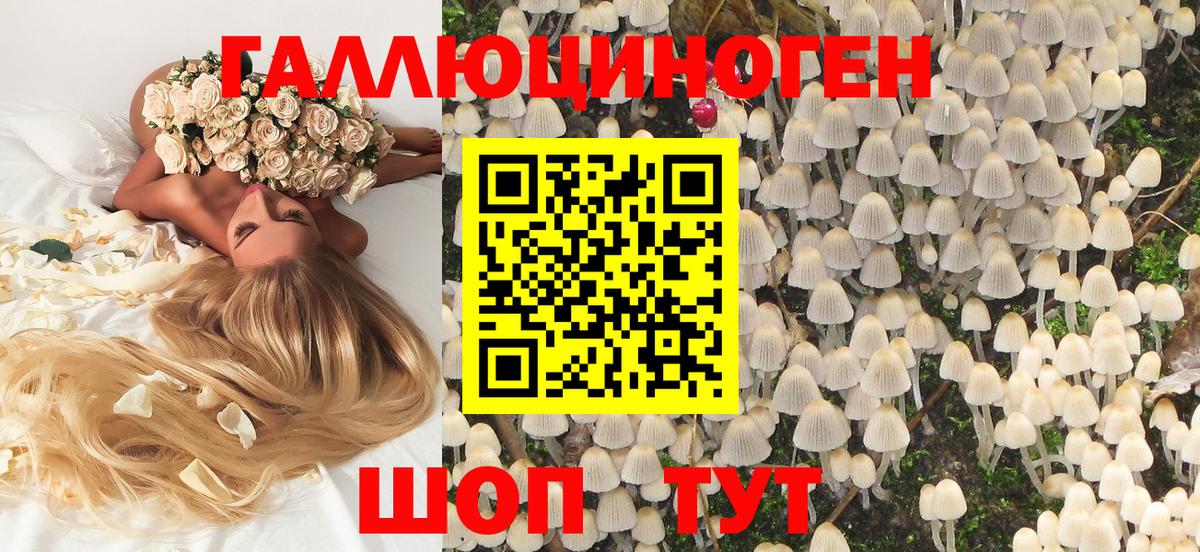 Псилоцибиновые грибы Psilocybine cubensis  Сердобск 