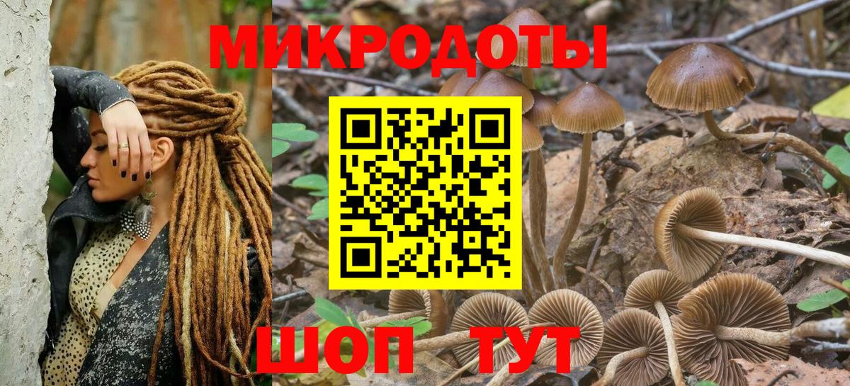Галлюциногенные грибы Magic Shrooms  Псилоцибиновые грибы MAGIC MUSHROOMS  Сердобск  Вход с VPN 