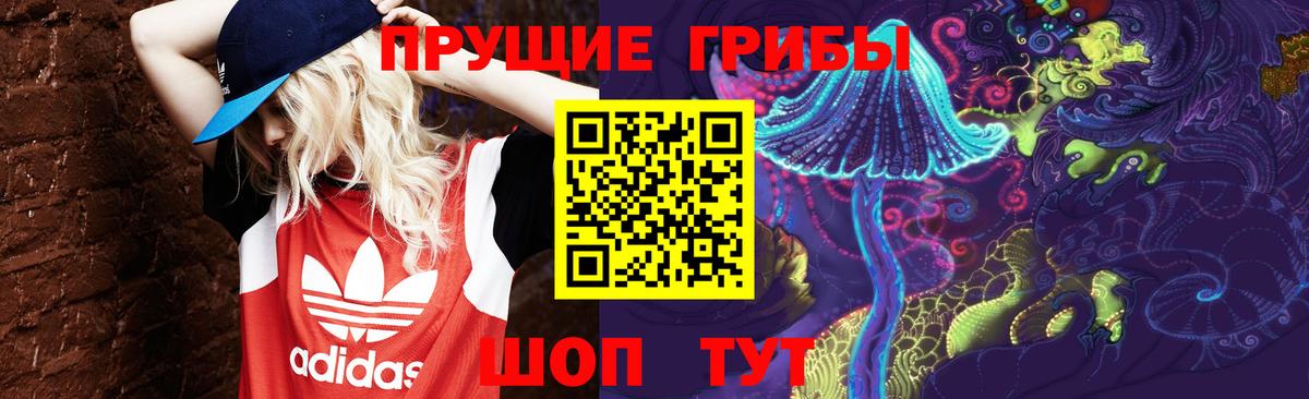 Псилоцибиновые грибы Cubensis Сердобск